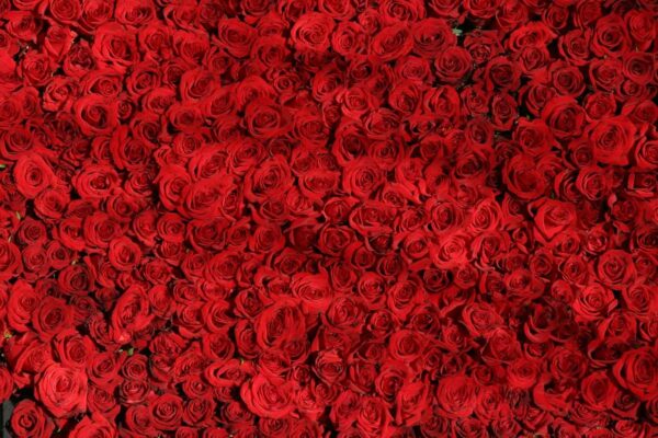 rosso