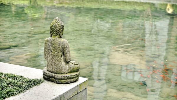 come fotografare le sculture