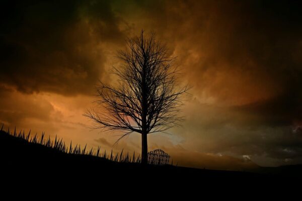 silhouette