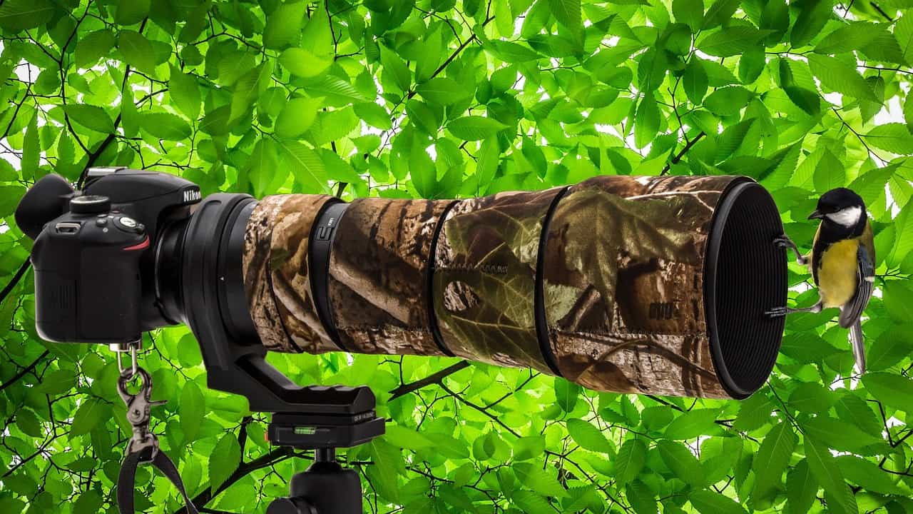 Gli obiettivi – i teleobiettivi