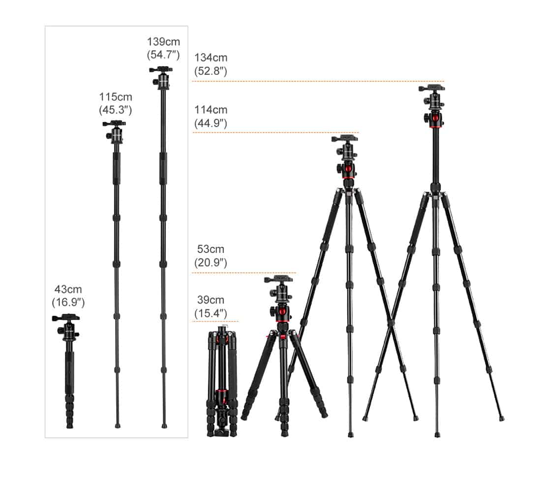cavalletto K&F Concept