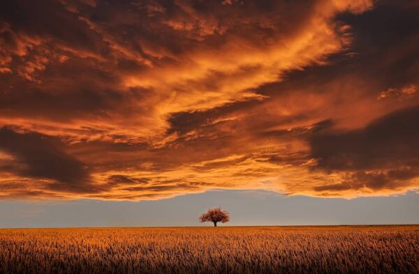 Fotografare in differenti condizioni climatiche