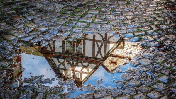 immagini riflesse nelle pozzanghere