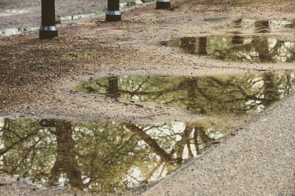 immagini riflesse nelle pozzanghere