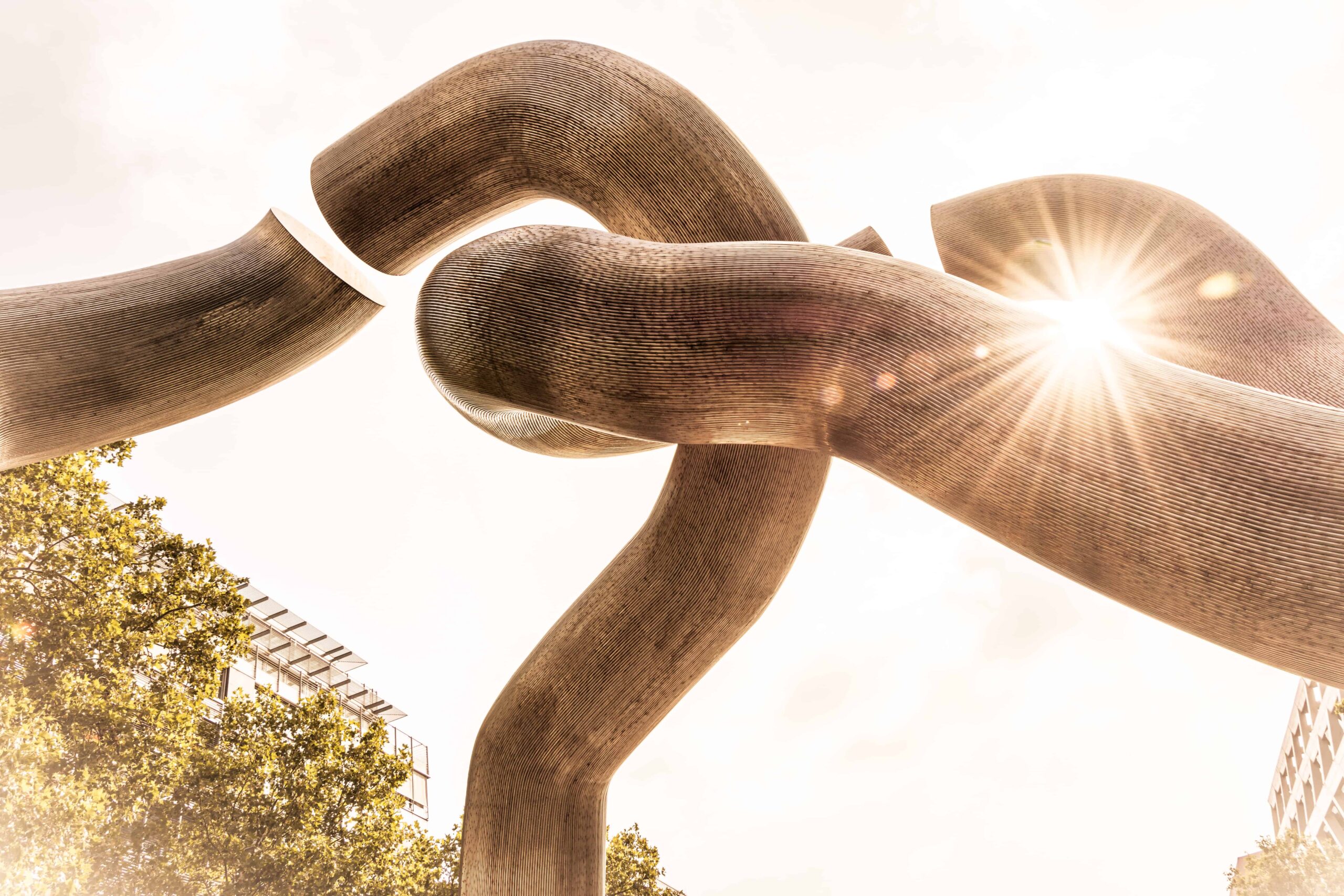 eliminare le immagini