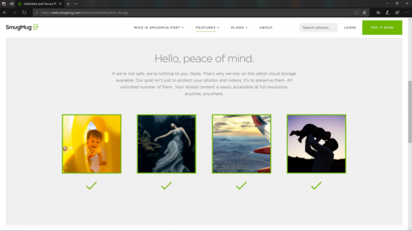 servizi di archiviazione di foto online