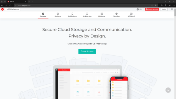 servizi di archiviazione di foto online
