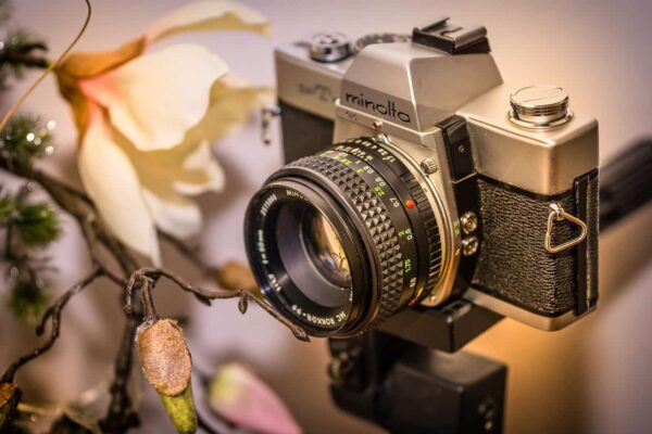guida per principianti alla fotografia