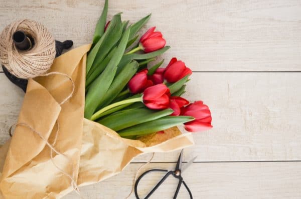 fotografia flat lay
