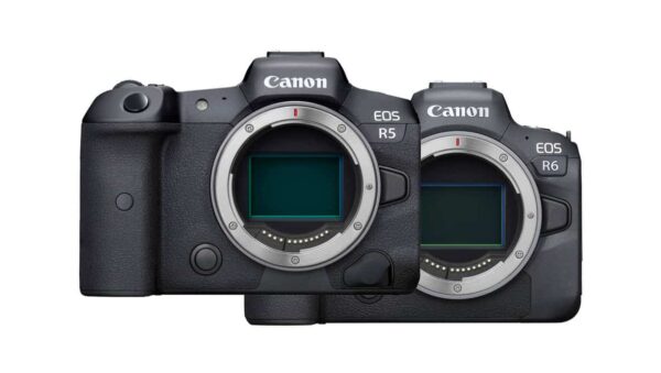 canon eos r5 canon eos r6