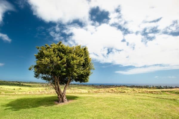 Impostare la messa a fuoco nella fotografia di paesaggio