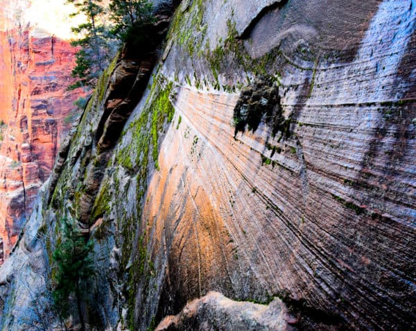 Picturesque steep rock face grown with moss