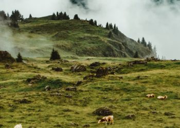 consigli per una migliore fotografia di viaggio