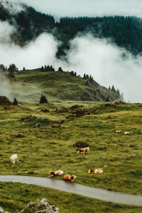 consigli per una migliore fotografia di viaggio