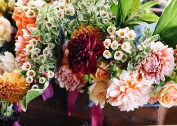 risaltare la tua fotografia