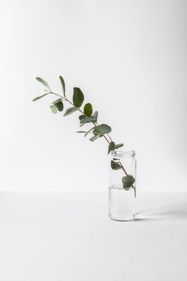 minimalismo