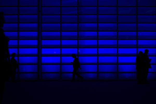 visione