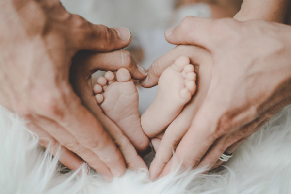 documentare la vita domestica