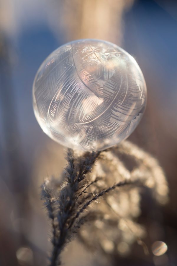 fotografare le bolle congelate