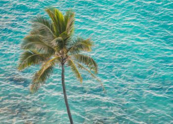 fotografare un progetto locale