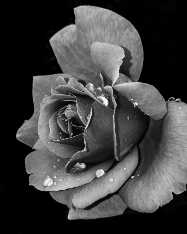 foto in bianco e nero