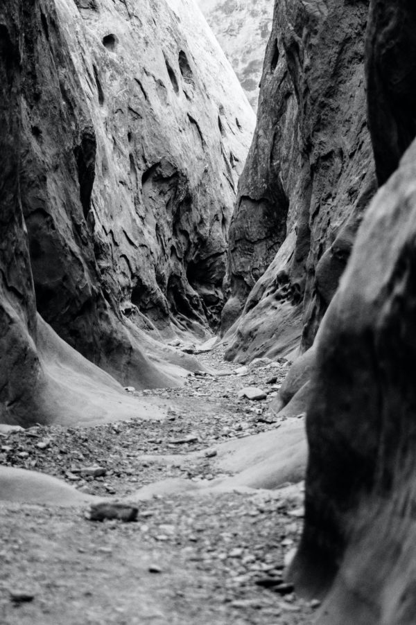 foto in bianco e nero
