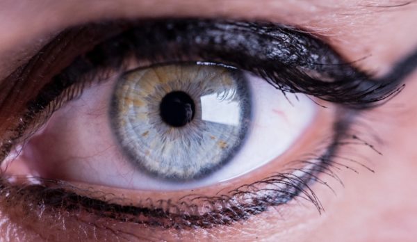 Reverse Lens Macro