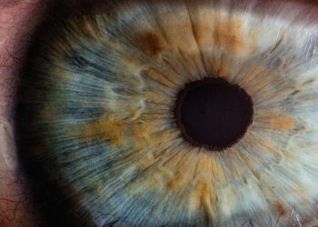 Reverse Lens Macro