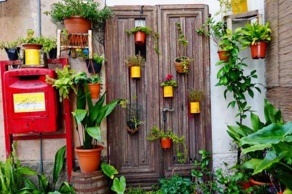 fotografare la natura nel tuo cortile