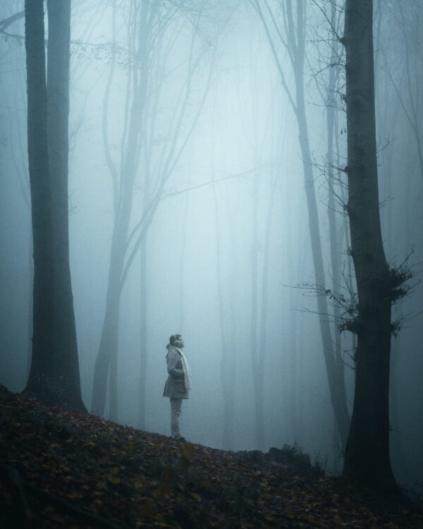 fotografia con la nebbia | fotografare con la nebbia