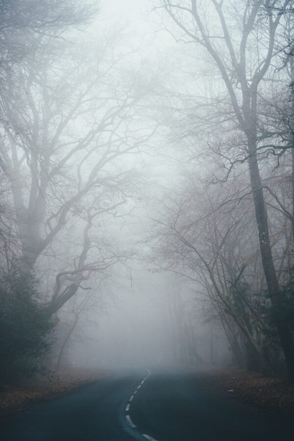 nebbia
