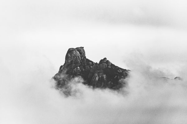 fotografia con la nebbia | fotografare con la nebbia