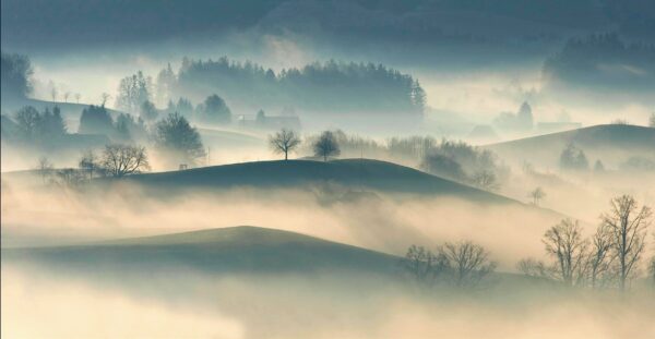 fotografia con la nebbia | fotografare con la nebbia