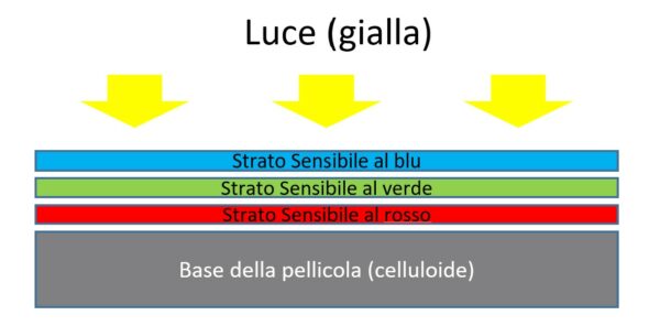 come funziona la pellicola fotografica