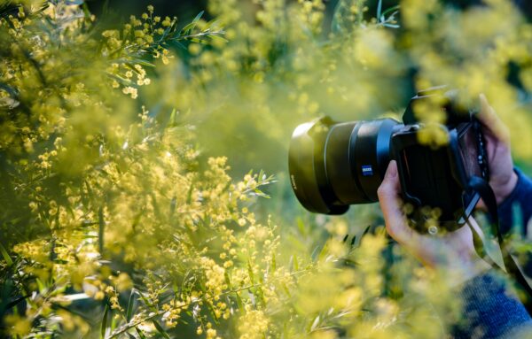 imparare a fotografare