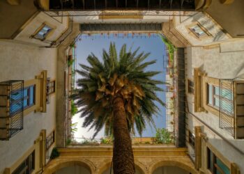 Tecniche di fotografia creativa