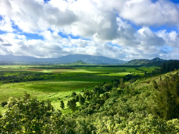 A short hike into the hills above Lihu‘e provides a majestic view looking northwest over the plains into the interior of the island