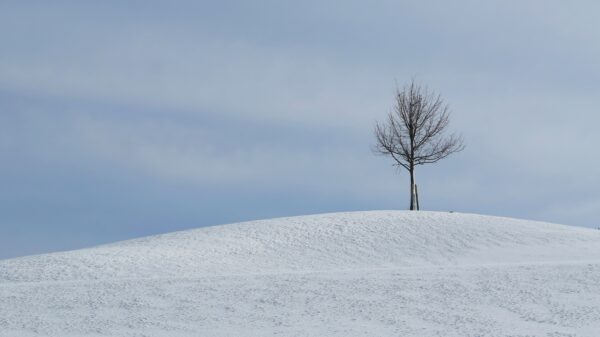 fotografia di paesaggio artistica