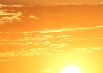 fotografie al sole