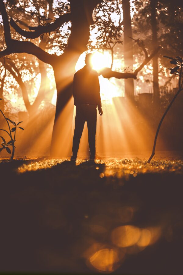 luce ambientale
