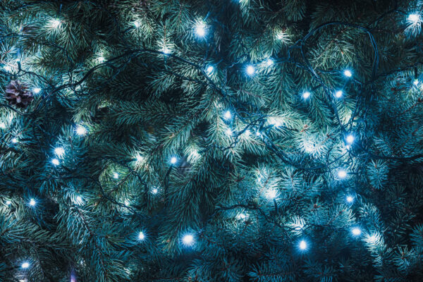 beautiful fir twigs with illuminated garland, christmas background