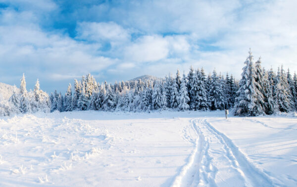 the winter road. Dramatic scene. Carpathian Ukraine Europe