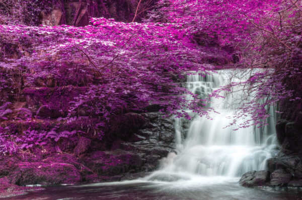 fotografia di paesaggio colorata