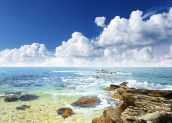 Beautiful summer landscape with the seaside