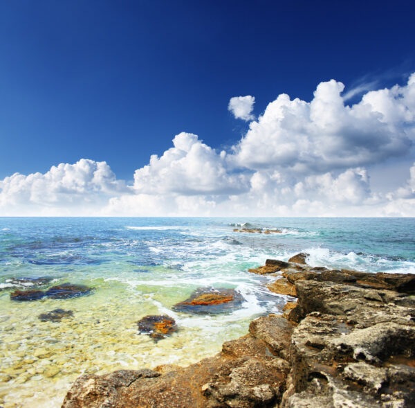 Beautiful summer landscape with the seaside