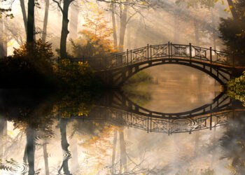 catturare i colori dell'autunno