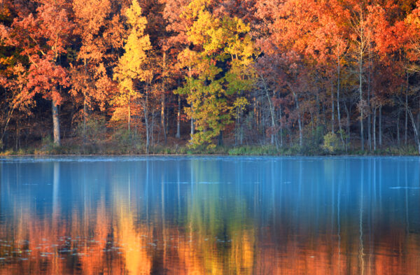 catturare i colori dell'autunno