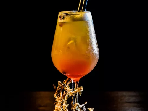 Come scegliere e quanto costa un fotografo food ?